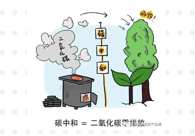 “碳中和、碳達峰”構建綠色、低碳、循環的可持續發展經濟體系